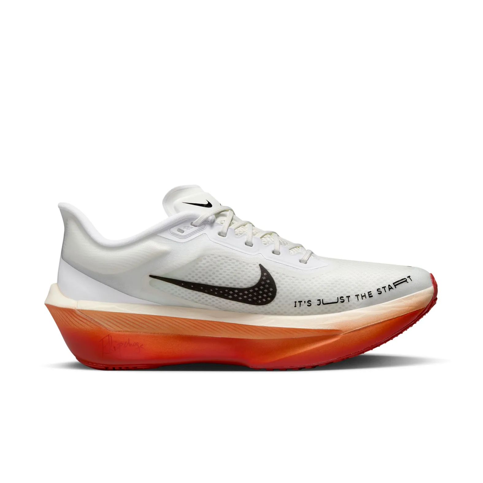 Men s Nike Zoom Fly 6